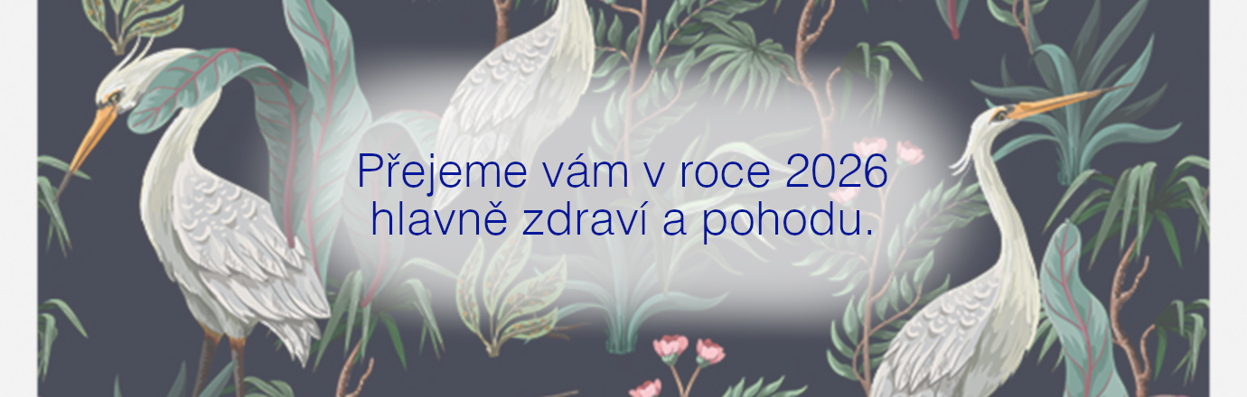Vánoce 2025