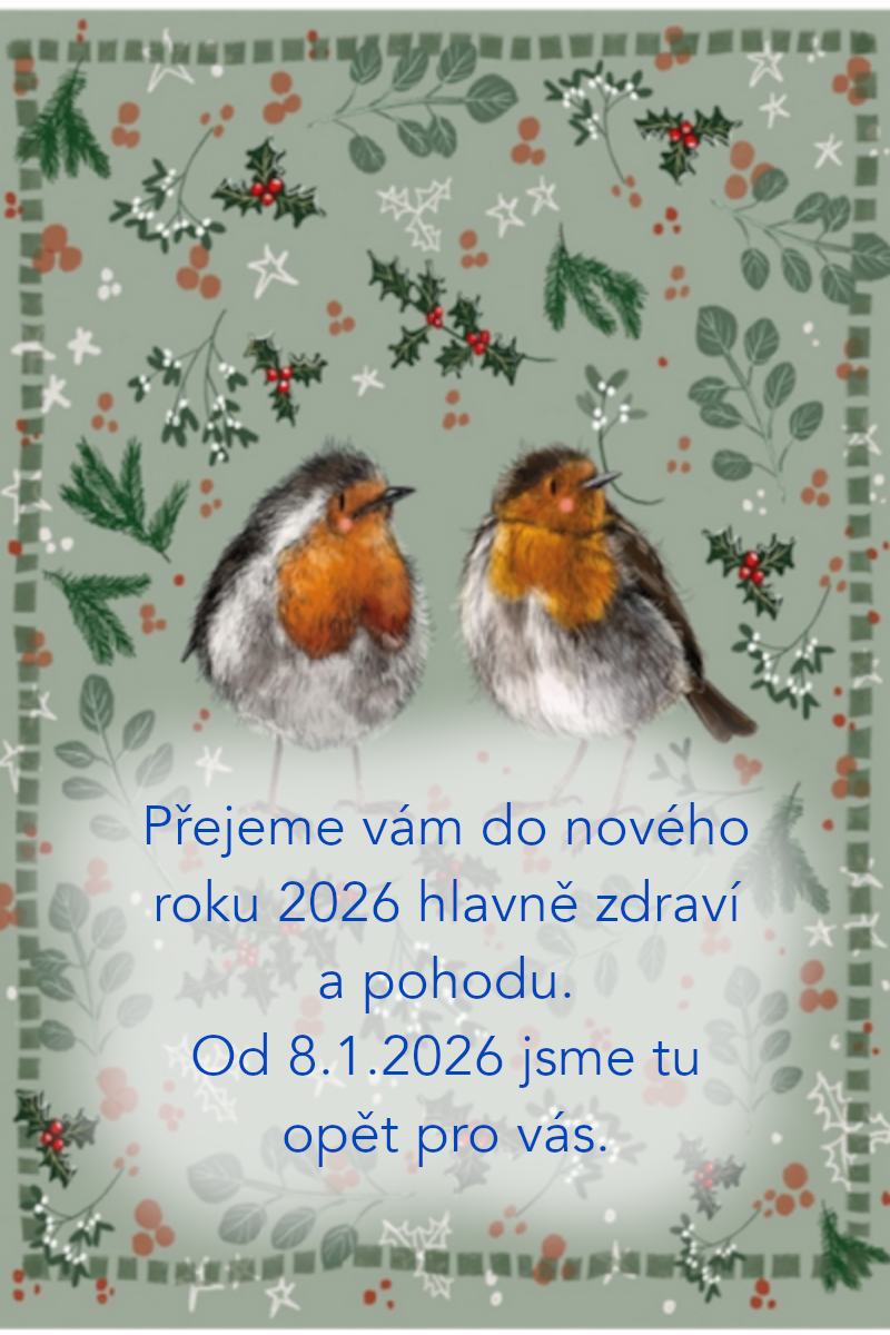 Vánoce 2025
