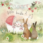 Přání k narození dítěte - Bundle of joy