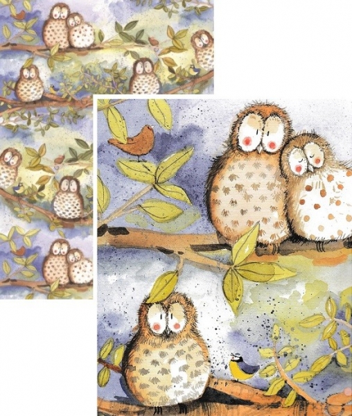 Balicí Papír - Owls - Alex Clark