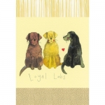 Utěrka AC - Loyal labs - 45*65 cm