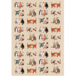 Utěrka AC - Marvellous moggies - 45*65 cm