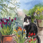 Přání Cat and Tulips