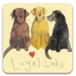 Magnetka Loyal labs