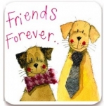 Magnetka Friends forever