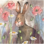 Přání Hare and Poppies