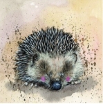 Přání Harriet