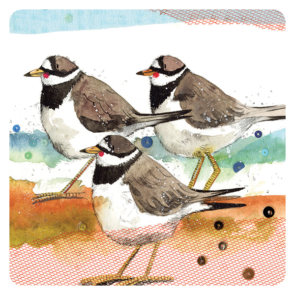 Podložka Ringed plovers, 10*10 cm