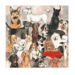 Přání Best of Breed