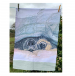 Utěrka AC - Snouts - 45*65 cm
