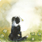 Podložka Collie and Daisies, 10*10 cm