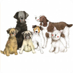 Podložka Dogs Together, 10*10 cm