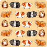 Podložka Guinea Pigs, 10*10 cm