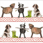 Podložka Country Dogs, 10*10 cm