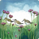 Podložka Dunlin 10*10 cm