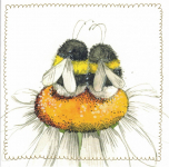Přání Daisy Bees