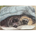 Dóza mini Snouts