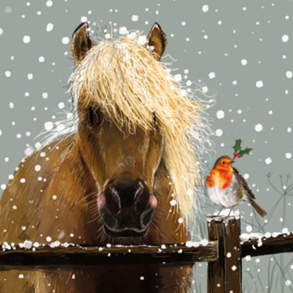 Podložka - Horse & Robin - Alex Clark