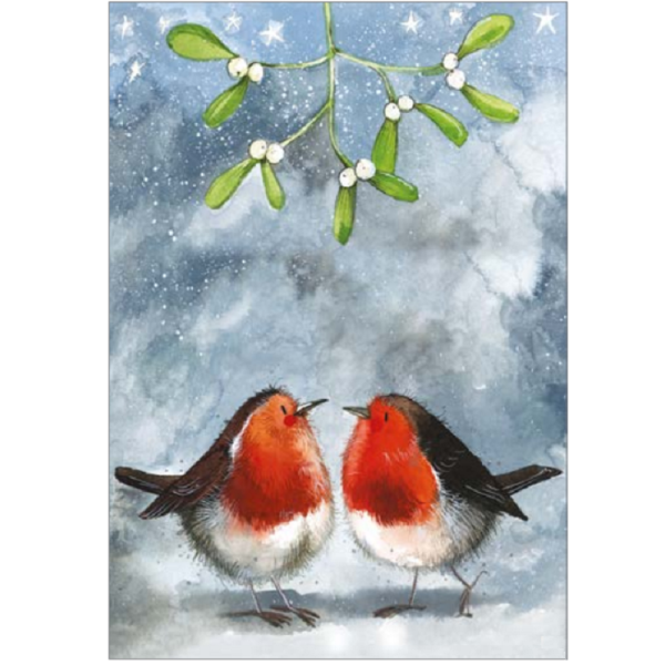 Utěrka na nádobí - Robin & Mistletoe - Alex Clark