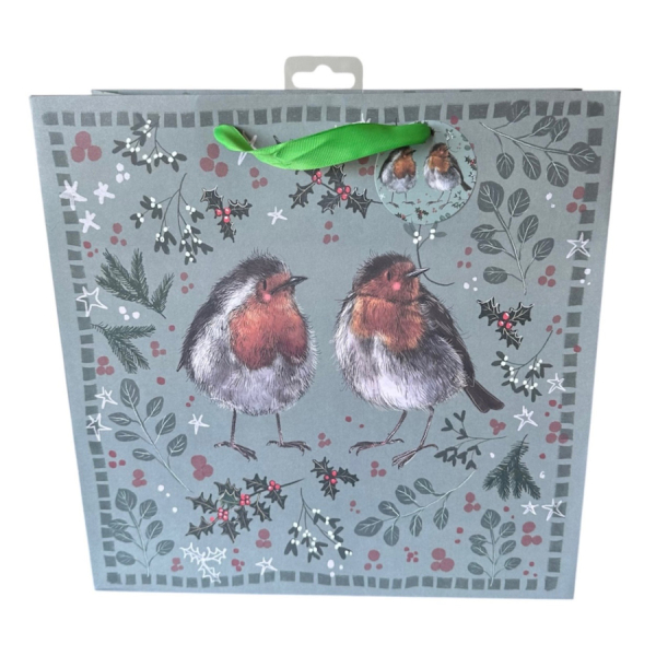 Velká papírová taška - Robin - Alex Clark