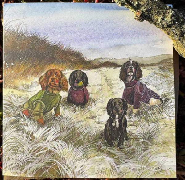 Přání s obálkou - Winter Coats - Alex Clark