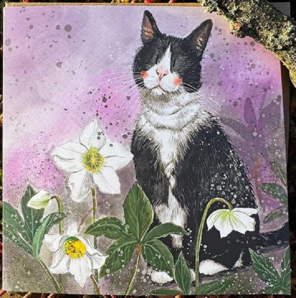 Přání s obálkou - Hellebores - Alex Clark