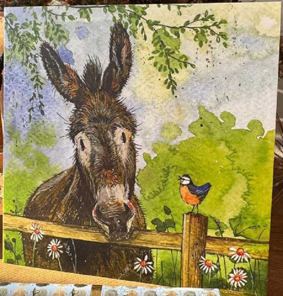 Přání s obálkou - Donkey - Alex Clark