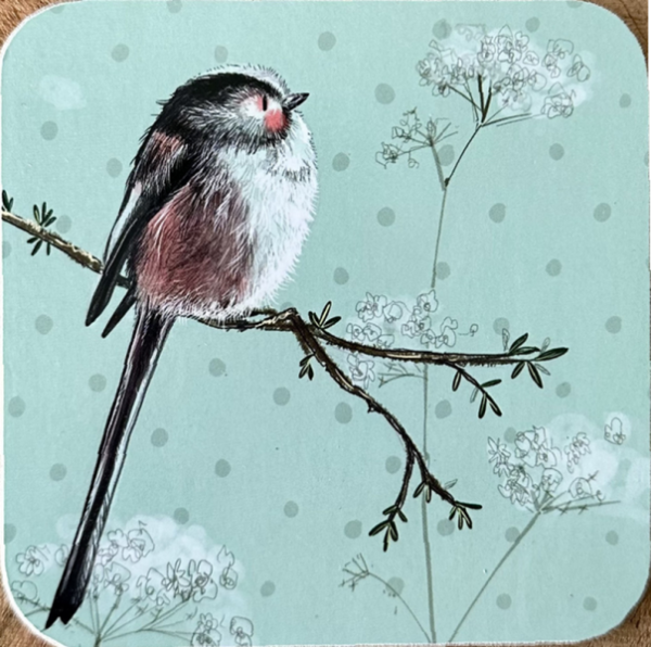 Podložka - Long tailed tit - Alex Clark