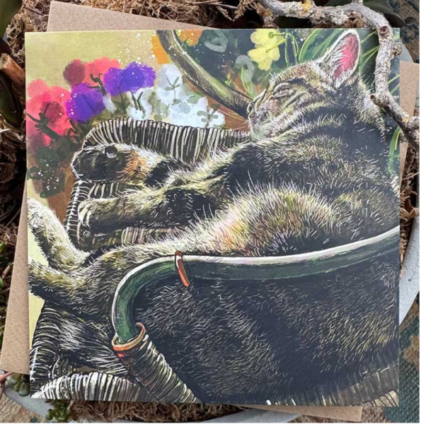 Přání s obálkou - Sound asleep - Alex Clark