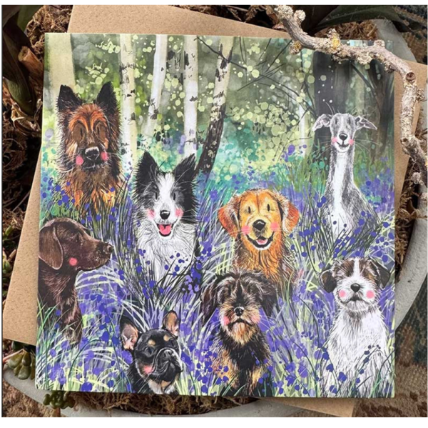 Přání s obálkou - Bluebell Wood - Alex Clark