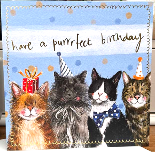 Přání s obálkou - Party cat - Alex Clark