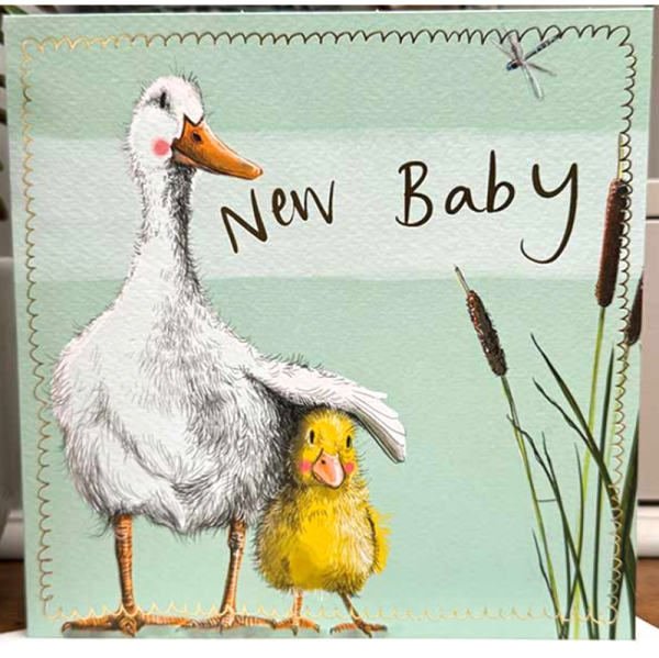 Přání s obálkou - Duckling - Alex Clark