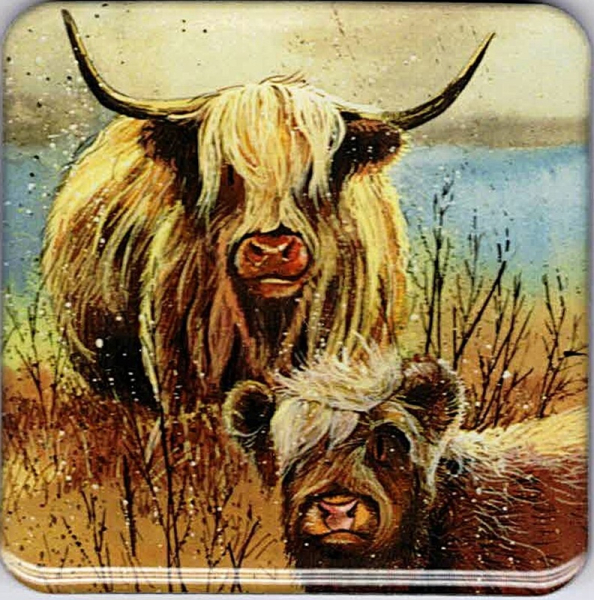Magnetka - Highland cow - Alex Clark