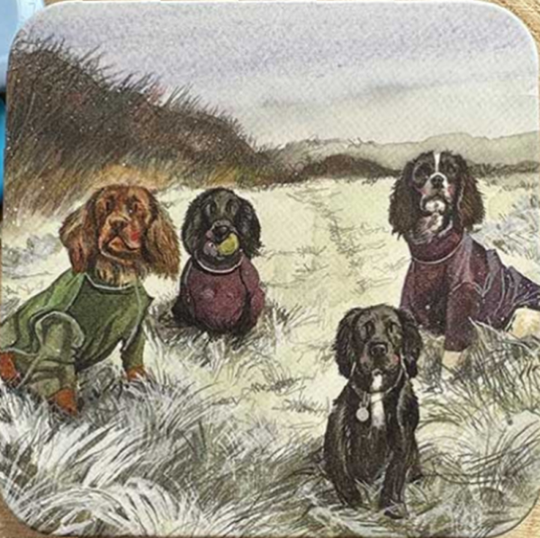 Plechová dóza - Spaniel - Alex Clark