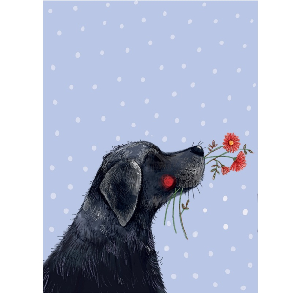 Notýsek 9x12 cm - Labrador - Alex Clark