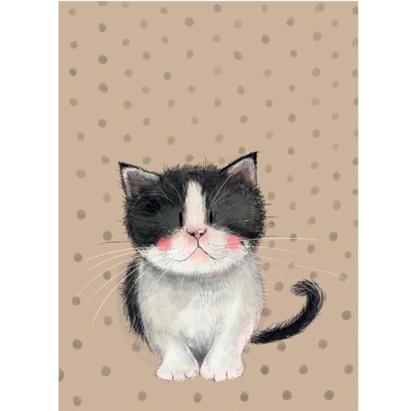 Notýsek 9x12 cm - Kitten - Alex Clark