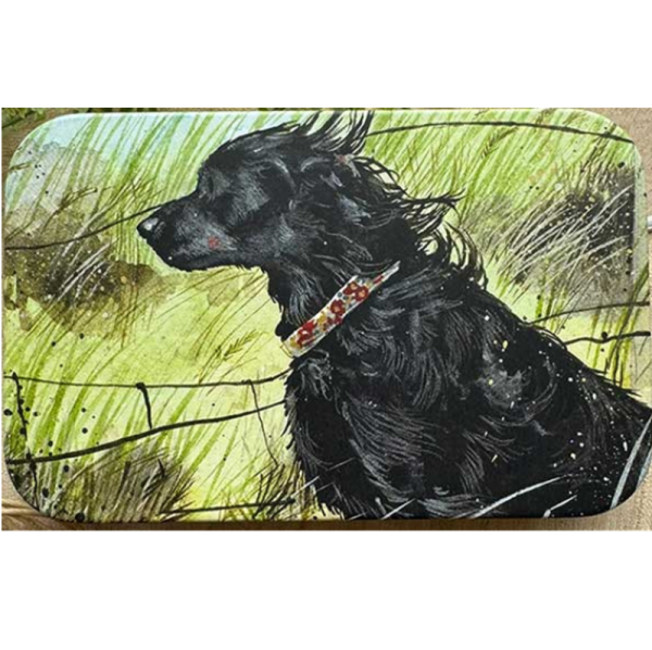 Dóza nízká - Windswept - Alex Clark