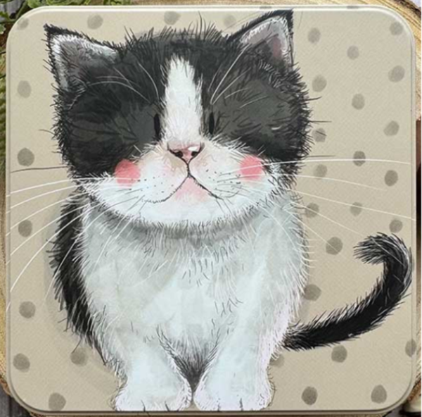 Čtvercová dóza 14x14 cm - Kitten - Alex Clark