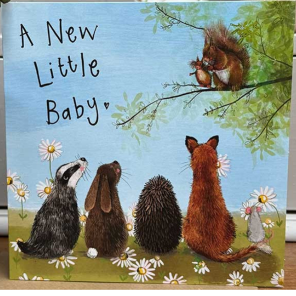 Přání s obálkou - Squirrel - Alex Clark